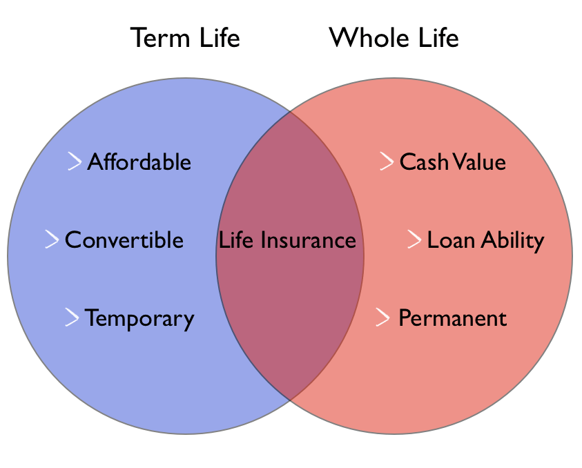 Term Life vs Whole Life 